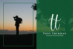 Mellany Typeface Product Image 12
