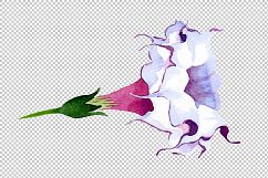 Wildflower burgundy Brugmansia PNG watercolor set Product Image 2