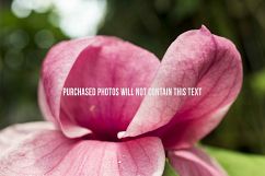 9 Macro Flower Photos Product Image 5