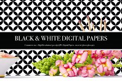 Black and White Digital Papers - P1 Product Image 3