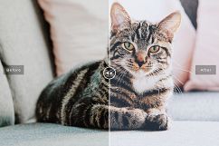 Pet Photoshop Actions Collection Product Image 4