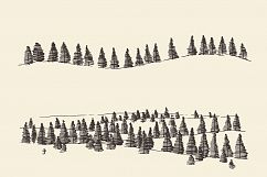 Fir forest Product Image 1