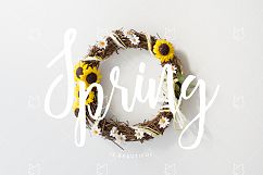 Easter &amp; Spring Photo Bundle Product Image 7