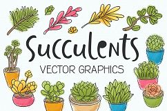Succulents 14 vector illustrations Product Image 1