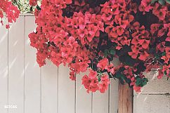 30 Instagram Filters ACR&amp;ATN Presets Product Image 47
