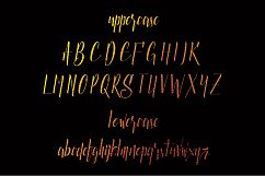 Luxurious Line Typeface Product Image 2
