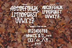 Lonsdale Typeface Product Image 4