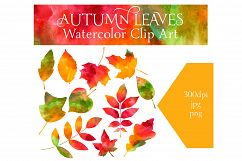 Watercolor Autumn Leaves Product Image 3