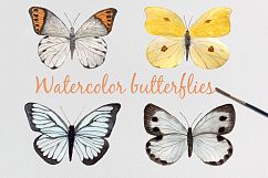 Butterflies. Watercolor set.  Product Image 2