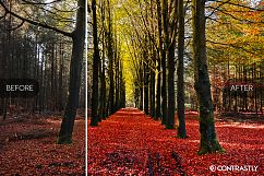 Autumn &amp; Harvest Lightroom Presets Product Image 3