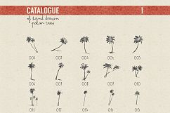 227 hand drawn palms + BONUS Product Image 10