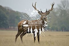 Wild at Heart. Native American Vintage Badges. Vol.2 Product Image 9