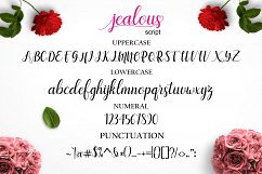 Jealous Script  Product Image 10