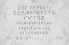 Loft Yian Script Typeface Product Image 2
