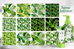 Succulent Tropical leaves PNG watercolor set Product Image 5