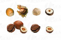 Nuts clip art pack, Watercolor nuts chart, food print Product Image 11