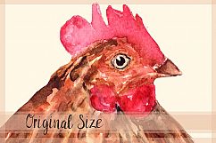 Rooster Family - Watercolor Clip Art Product Image 2