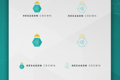 Geometric Logo Designs - Premium Edition Product Image 8