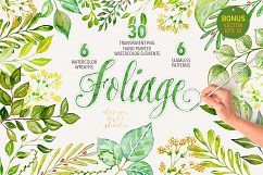 Watercolor foliage collection Product Image 1