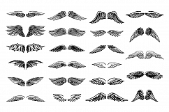 Wings illustration set on white background Product Image 2
