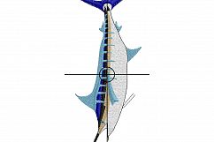 Blue Marlin Fish Machine Embroidery Design  Product Image 5