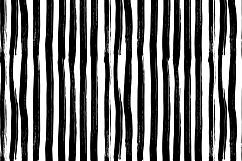 Brush pattern collection  Product Image 4