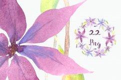 Watercolor Clematis Clip Art Set - Pattern, Border, Wreath Product Image 4