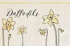 Watercolor Daffodils Product Image 1