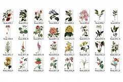 Vintage Flower Clipart Product Image 3