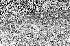18 Transparent Grunge Textures Product Image 18