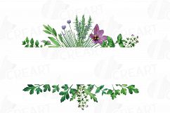 Herbs and Spices frames watercolor clip art pack, watercolor herb leaves borders. PNG, jpg, svg, vector illustrator &amp; corel files included Product Image 13