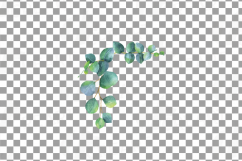 Eucalyptus leaves and branches watercolor clip art pack, Eucalyptus design elements. PNG, jpg, svg, vector illustrator &amp; corel files included Product Image 3