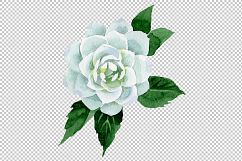 White camellia wildflower PNG watercolor set Product Image 4