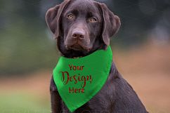 Dog Scarf Mockup, Holiday Dog Scarf Mockup Red and Green Product Image 2
