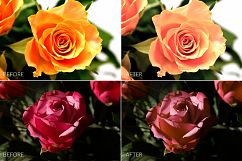 Flowers Lr Presets Product Image 4