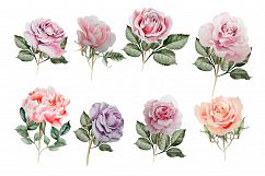 Hand drawn watercolor roses 2 Product Image 5