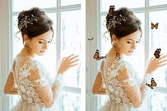 112 Butterfly Photo Overlays 2.0 Product Image 6