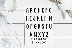 Beachwood Alphabet Duo SVG Cut Files Product Image 2