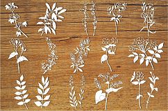 Wild Flowers (set1) SVG files for Silhouette Cameo and Cricut. Wild Flowers clipart PNG included. Leaves branches and Floral elements cutting files Product Image 1