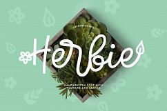 Herbie - A Flowery Font Product Image 1