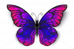 Tricolored Butterfly Product Image 1