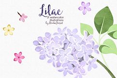 Lilac - Flowers Watercolor Illustrations Product Image 3