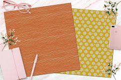 Retro Floral Digital Papers Product Image 6