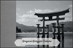 Roll Film - Bergger Pancro 400 Product Image 2