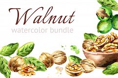 Walnut. Watercolor bundle Product Image 1
