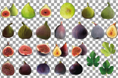 Watercolor Fig clip art pack,common fig leaves, fig fruit Product Image 4