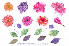 Watercolor Flowers Clipart Hand Painted Wedding Flowers Product Image 3