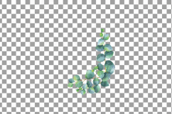 Eucalyptus leaves and branches watercolor clip art pack, Eucalyptus design elements. PNG, jpg, svg, vector illustrator &amp; corel files included Product Image 11