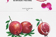 Watercolor Fruits Vol. 2 Product Image 5