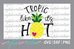 Pineapple Bundle- 10 designs Product Image 9